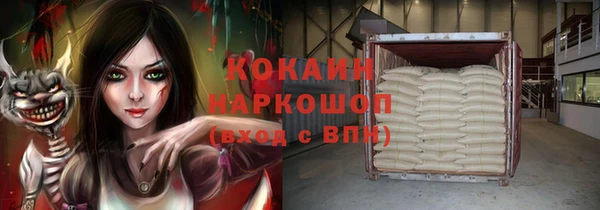 гидра Богородицк
