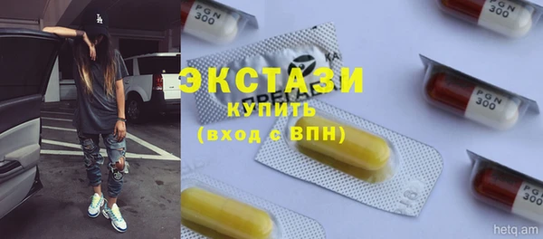 гидра Богородицк