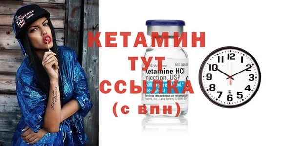 гидра Богородицк