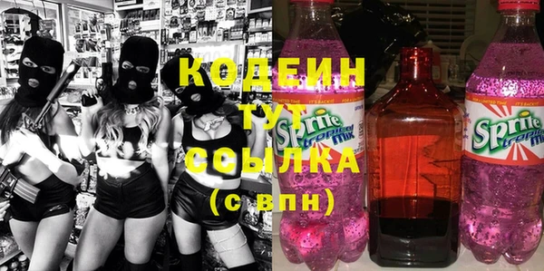 гидра Богородицк